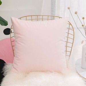 Light pink velvet throw pillow